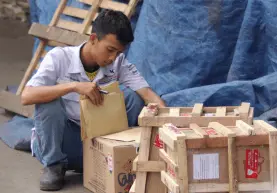 klik logistics memberikan jasa packing kayu agar aman